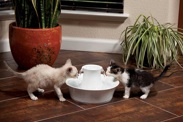 Produktbild Drinkwell PetSafe Avalon (2 l)