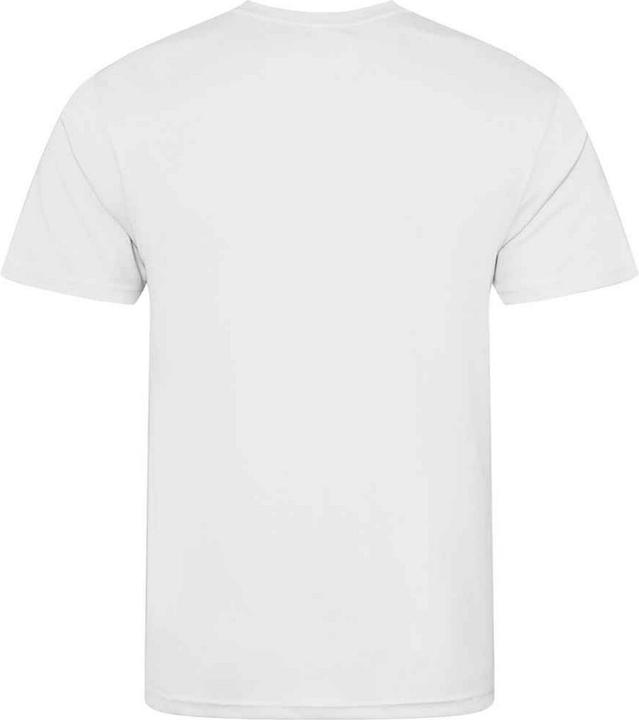 Actual product image Awdis Mens T-Shirt (L)