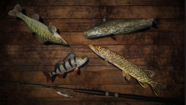 Produktbild Bigben Pro Fishing Simulator (Xbox One X, Xbox Series X, Multilingual)