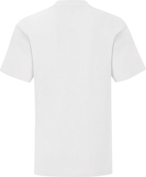 Actual product image Fruit of the Loom Childrens/Kids Iconic T-Shirt (140, 146)