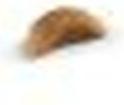 Image du produit Royal Canin British Shorthair (Junior, 1 pcs, 400 g)