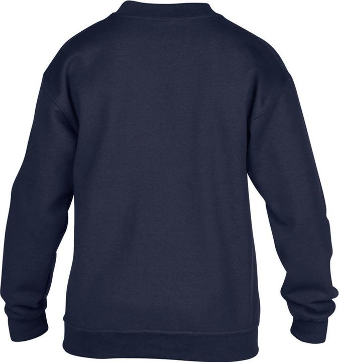 Image du produit Gildan Sweat-shirt à col rond (M)
