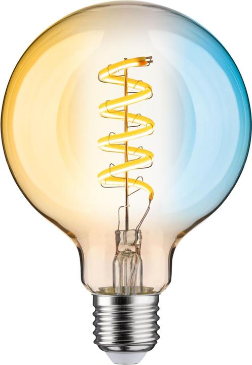 Paulmann Globo (E27, 7.50 W, 600 lm, 1 x, G)