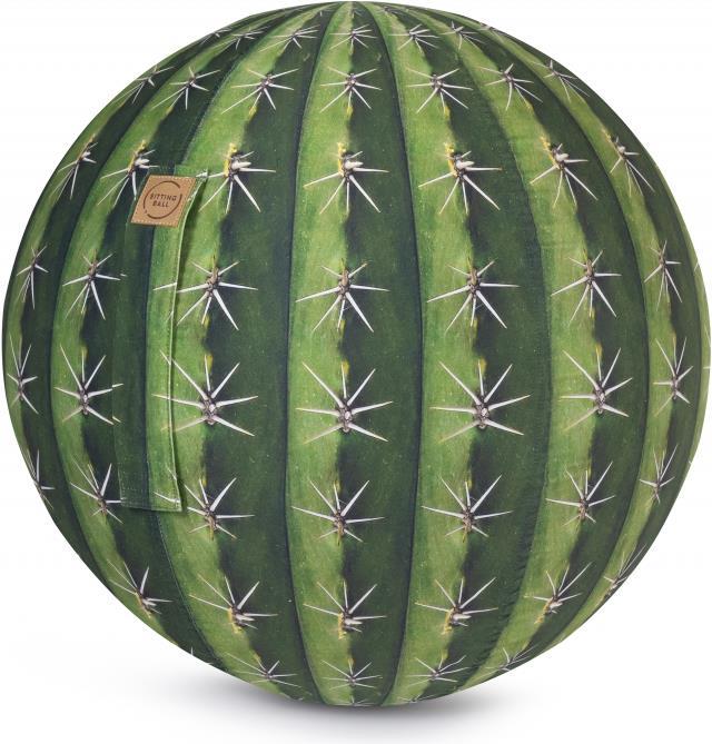Sitting Point Seat ball cactus (65 cm)