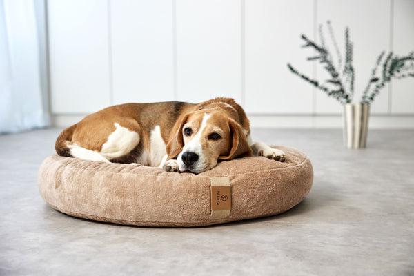 Actual product image Palopa Donut Fippa (Dog)