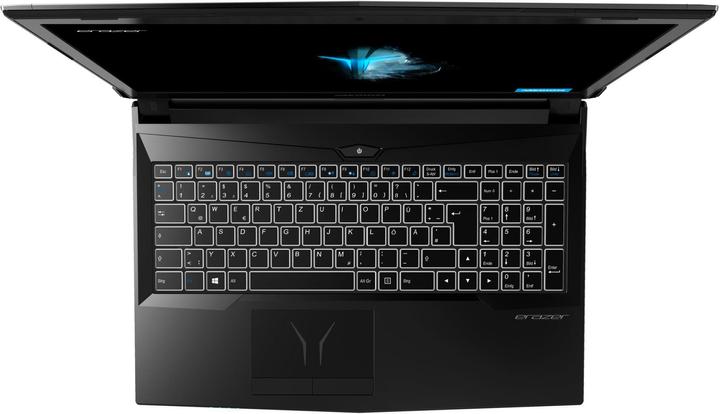 Actual product image Medion Erazer P6705 (15.60", Intel Core i7-8750H, 16 GB, 256 GB, CH)