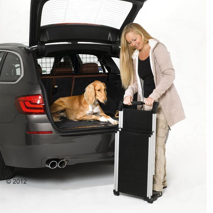Image du produit Kleinmetall Rampe d'accès DogWalk3 (Chien)