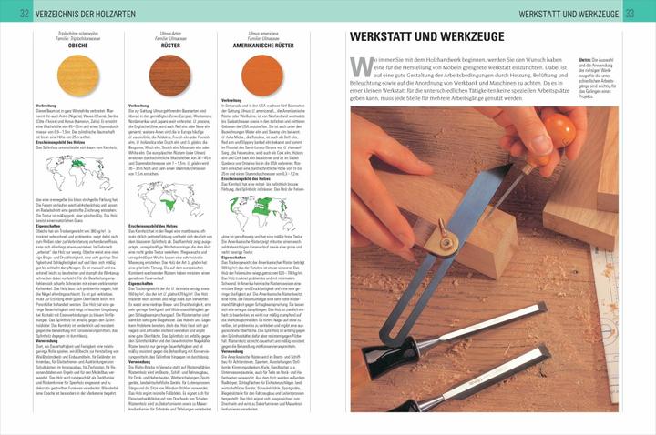 Produktbild Handbuch Holz (Deutsch, Mark Ramuz, 2016)