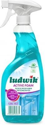 Ludwik Floral Violet Shower Cabin Cleaning Liquid - 600 Ml (600 ml)