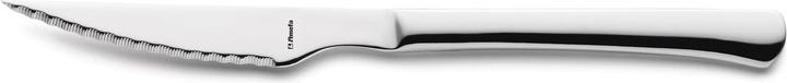 Actual product image Amefa Chuletero Steak/Pizza Knife (1 Piece, Knife)