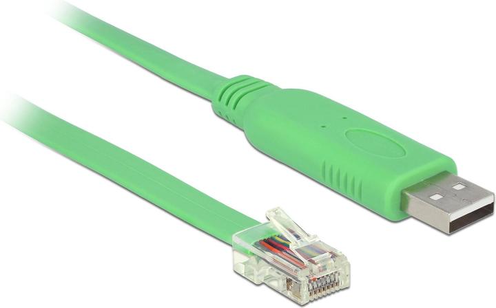 Actual product image Delock USB to RJ-45 console cable (1.80 m, USB 2.0)