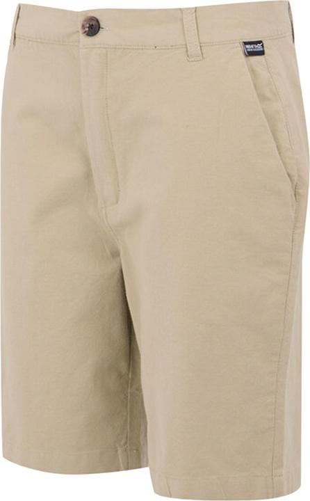 Actual product image Regatta Mens Sabastal Shorts (40)
