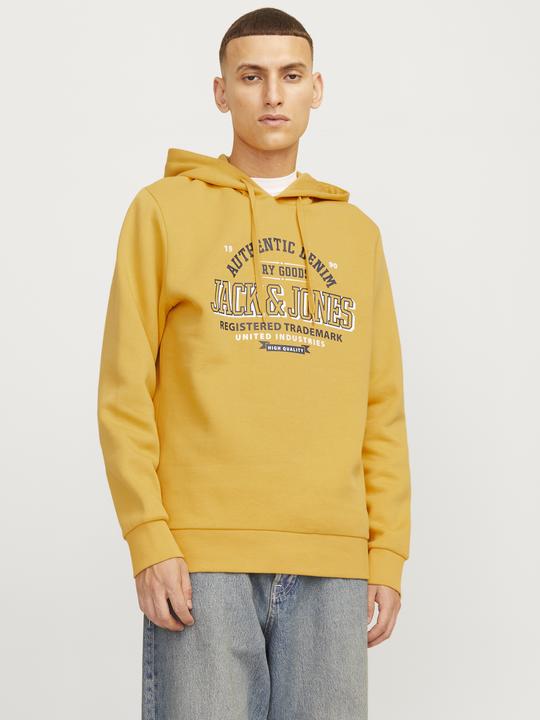 Actual product image Jack & Jones JJELOGO SWEAT HOOD 2 COL 24/25 NOOS (XXL)