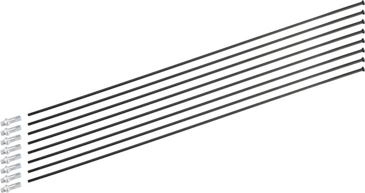Immagine prodotto DT Swiss Kit di raggi per H 1700 Spline 29