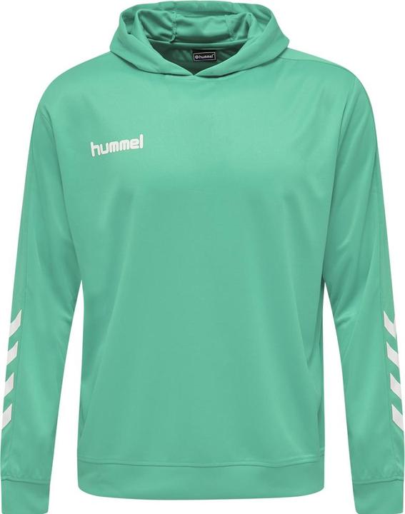 Actual product image hummel Promo Kids Poly Hoodie (140)