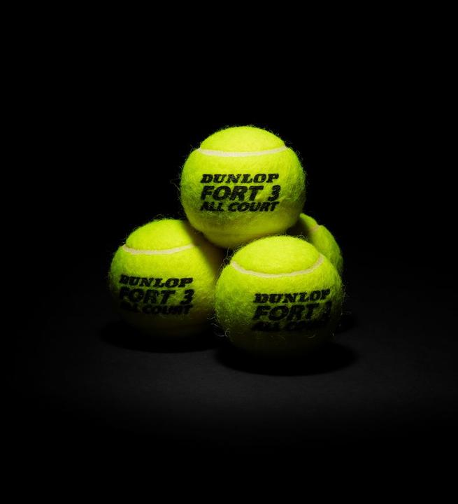 Produktbild Dunlop Fort All Court