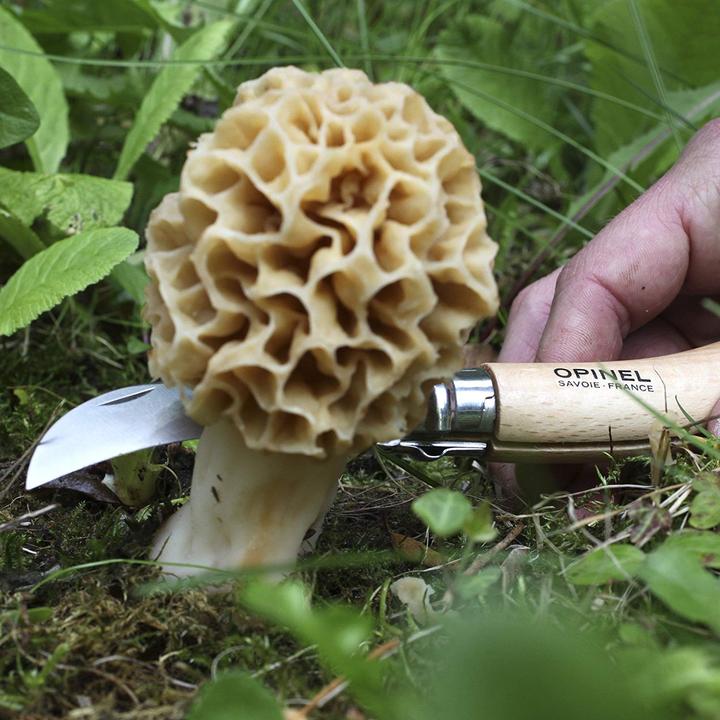 Immagine prodotto Opinel N. 8 (7 cm)