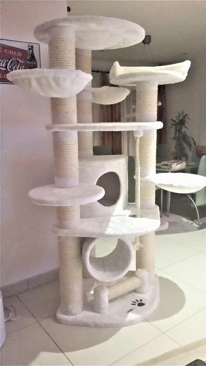Image du produit Pet Homes La Havane (192 cm, Blanc, Beige)