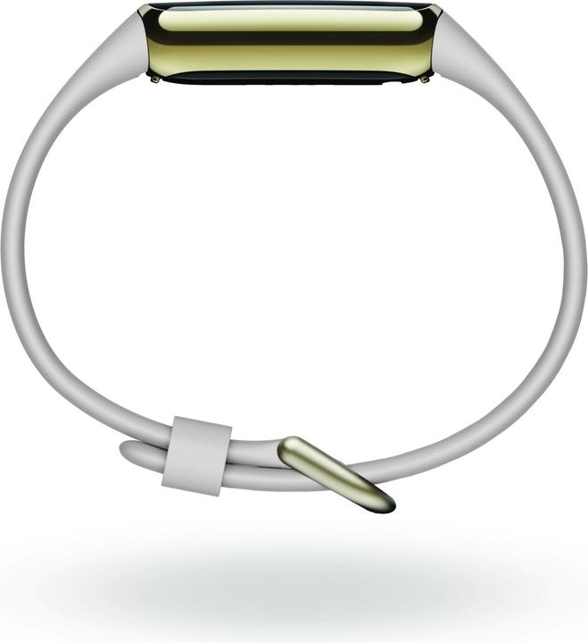 Actual product image Fitbit Luxe (17.50 mm)