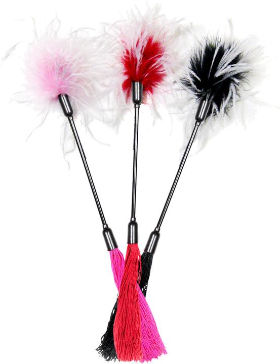 Actual product image Sex & Mischief whip tickle