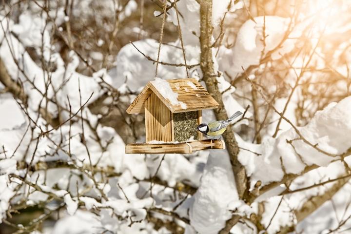 Image du produit Windhager Jardin