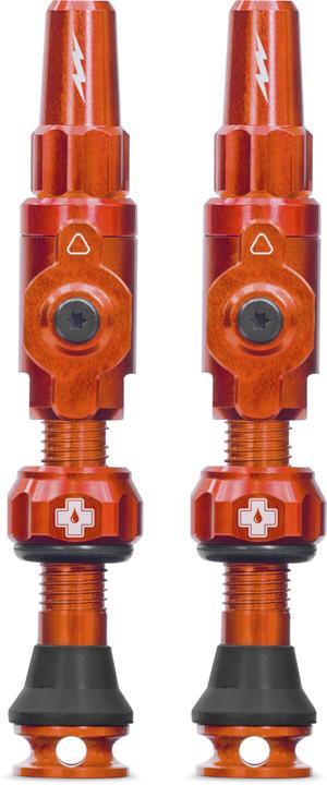 Tubeless Valves Big Bore Lite 65mm