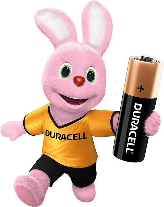 Actual product image Duracell Plus MN1500/AA/LR6 28s (28 pcs., AA)