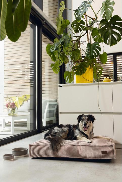 Image du produit Designed by Lotte Ribbed (Chien)