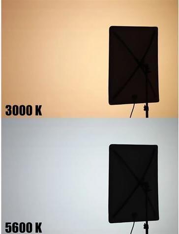Produktbild Falcon Eyes Softbox + Waben RX-18SBHC III für LED RX-18TDX III (Diffusor)