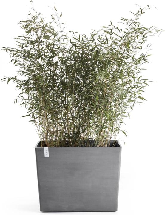Actual product image Ecopots Paris wheels (85 cm)