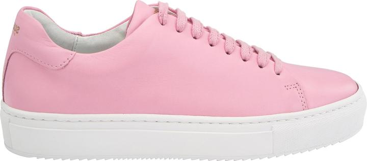Suedwind Footwear Ashton