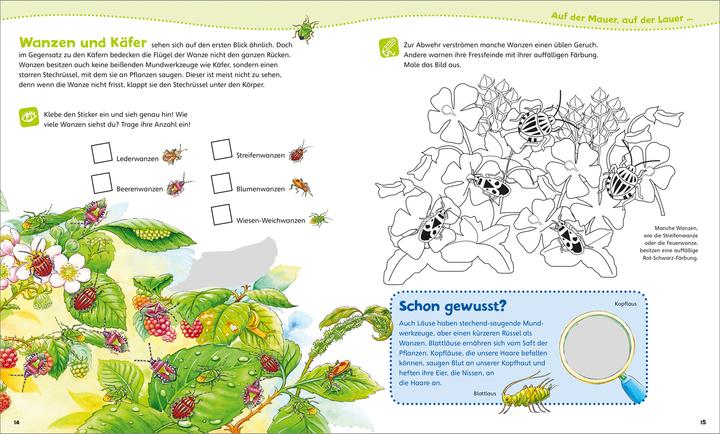 Produktbild Tessloff WAS IST WAS Junior Mitmach-Heft. Insekten (Deutsch, Tatjana Marti, 2020)