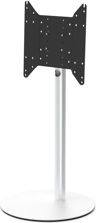 Actual product image Spectral Circle VX1000 (Various, 75", 40 kg)