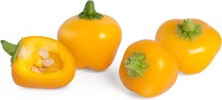 Produktbild Véritable Lingot Mini Peperoni gelb BIO (Pflanzensamen)