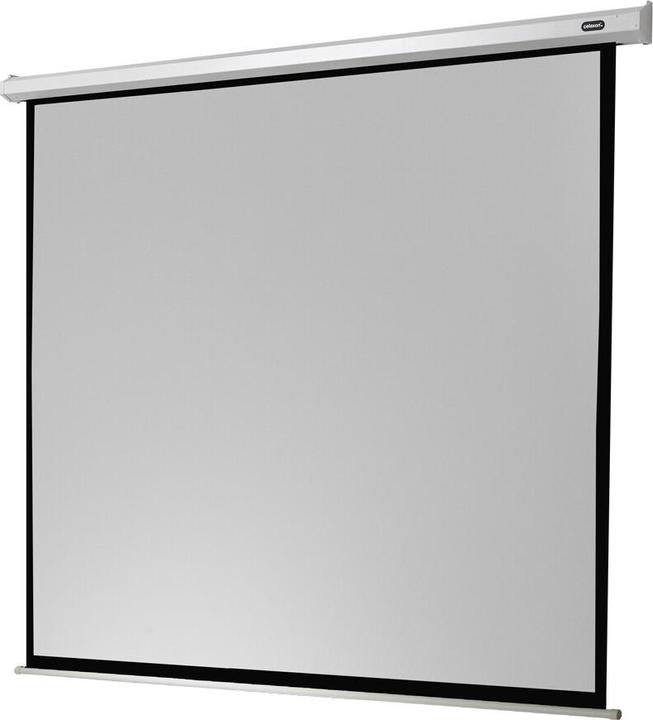 Actual product image Celexon Economy electric screen - screen - ceiling mounting possible, suitable for wall mounting (150", 1:1)