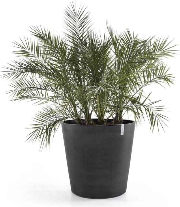Image du produit Ecopots Amsterdam Wheels (60 cm)