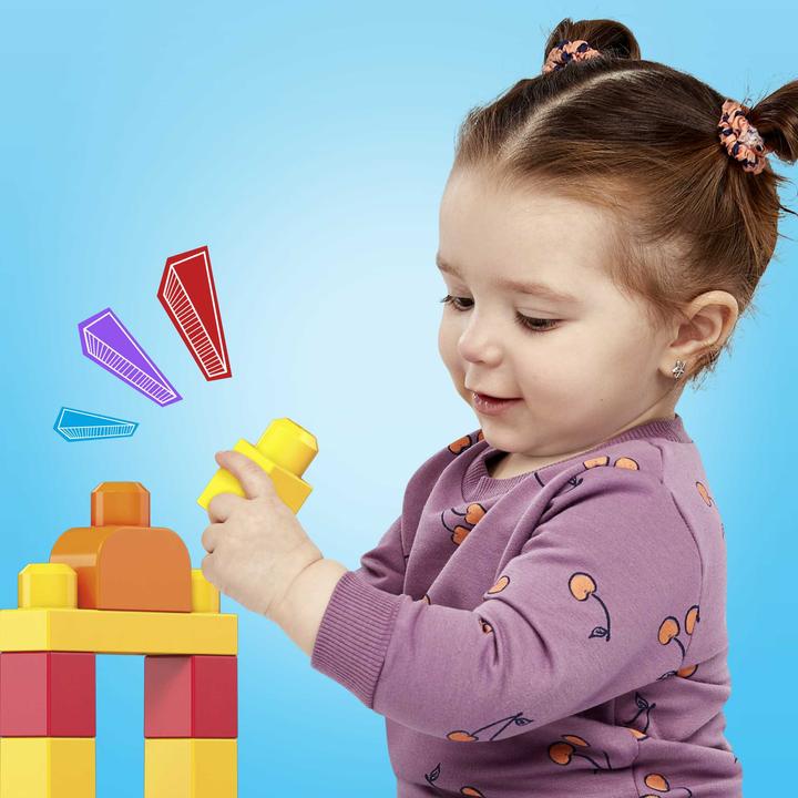 Actual product image Mega Bloks First Builders Big Building Bag
