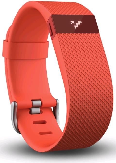 Immagine prodotto Fitbit Charge HR Grande (21 mm)