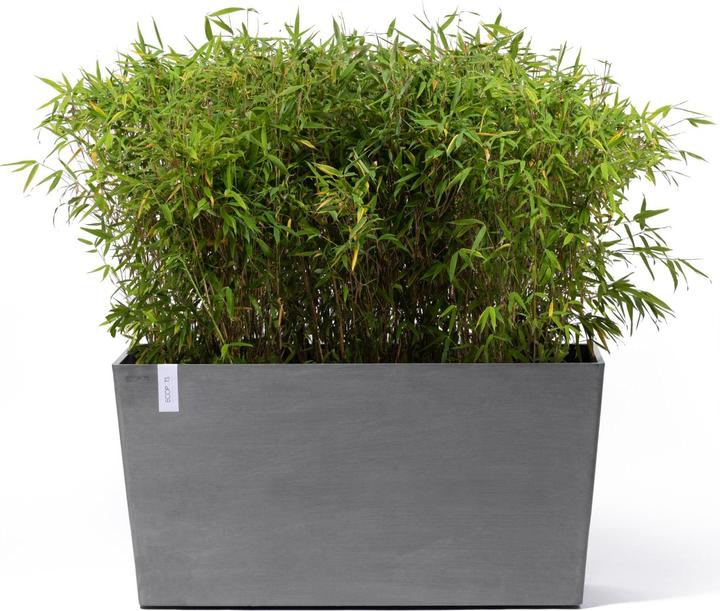 Image du produit Ecopots Paris Wheels (40 cm)