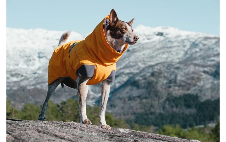Immagine prodotto Hurtta Spedizione (55, M, Cappotto per cani)