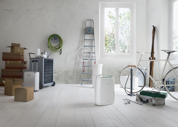 Image du produit De'Longhi DEX212SF (55 m², 12 l/24h)