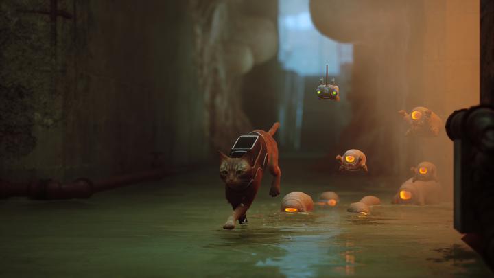 Actual product image Annapurna Interactive Stray (PS5, EN)