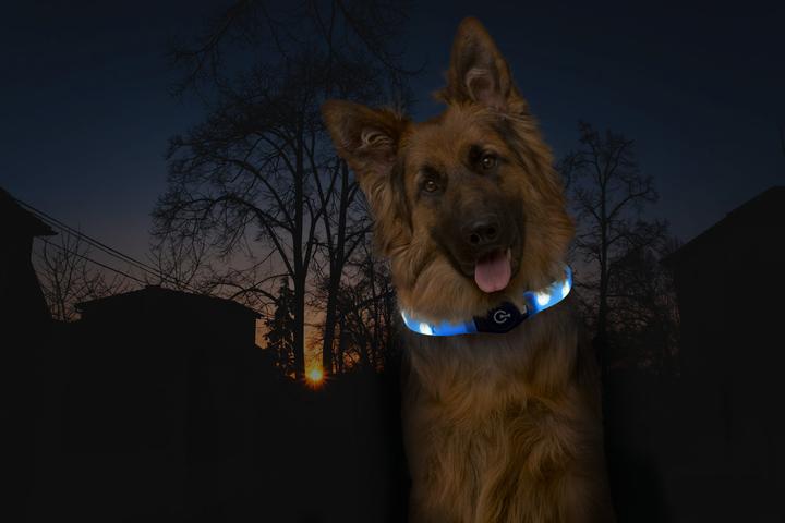 Produktbild Karlie Visio Light Led Langhaar Hundehalsband (Hund, Spazieren)