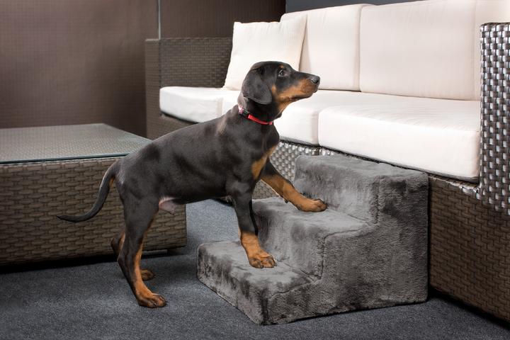 Produktbild Karlie Easy Step (Hund)