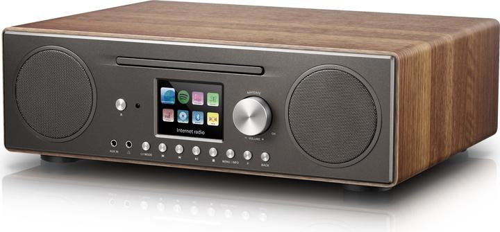 P Tec Pilatus (Internetradio, DAB+, FM, WLAN, Bluetooth)