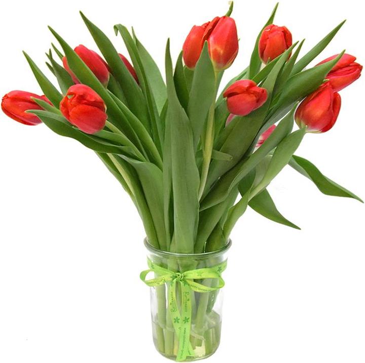 Image du produit Rutishauser Blumen Tulipes (Fleurs coupées)