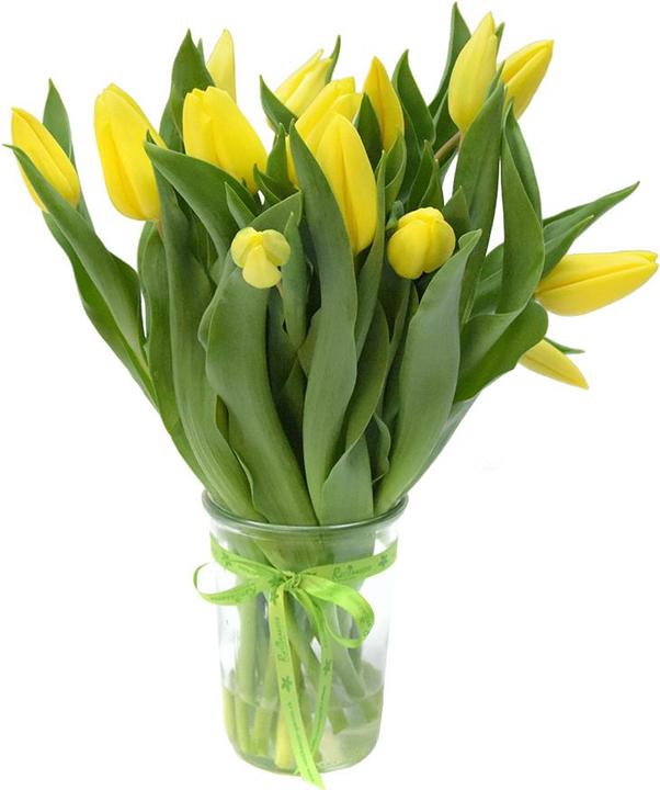 Actual product image Rutishauser Blumen Tulips (Cut flowers)