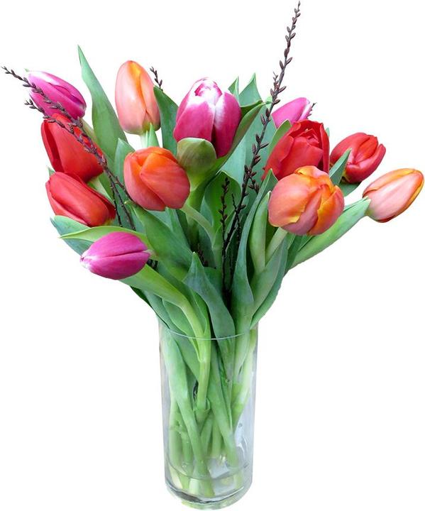Rutishauser Blumen Tulpen mix (Schnittblumen)