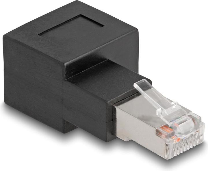 Delock RJ45 Stecker zu RJ45 Buchse Adapter Cat.6A 90° nach rechts gewinkelt (RJ45, RJ45 (1x))