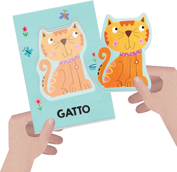 Actual product image Sombo Baby Flashcards (Italian)
